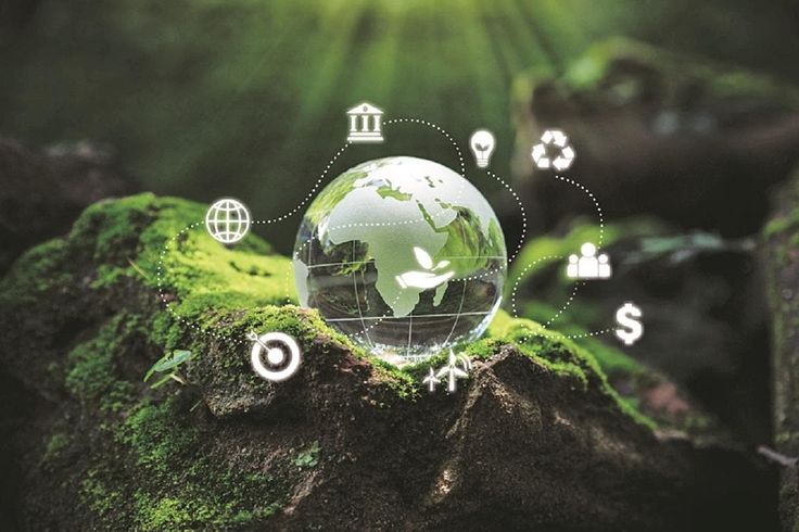 Environmental Brief: Renewable Energy Projects Accelerate